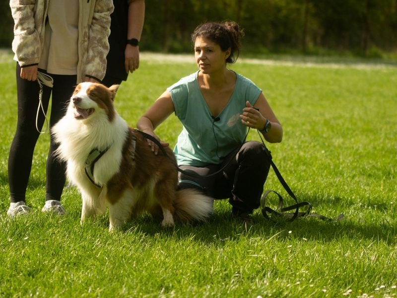 Aylin Notzon kniet auf dem Platz neben einem Australian Shepherd